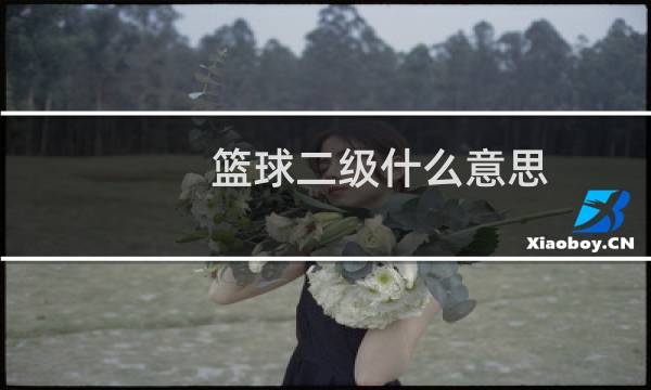 篮球二级什么意思