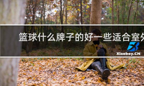 篮球什么牌子的好一些适合室外