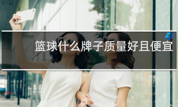 篮球什么牌子质量好且便宜