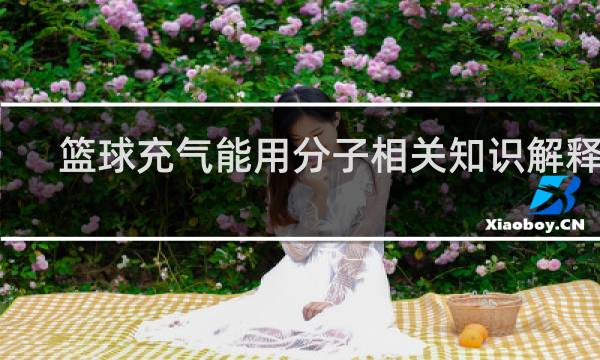 篮球充气能用分子相关知识解释吗
