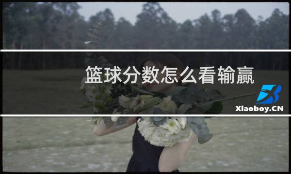 篮球分数怎么看输赢