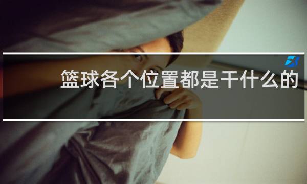 篮球各个位置都是干什么的