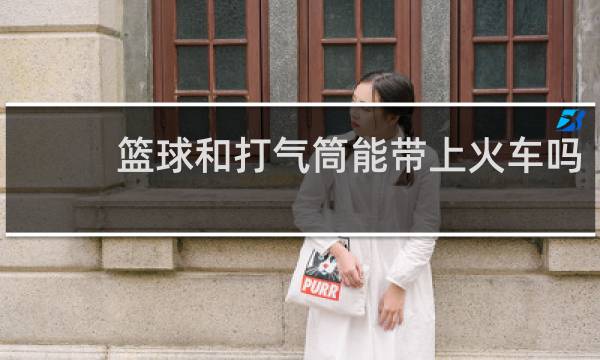 篮球和打气筒能带上火车吗