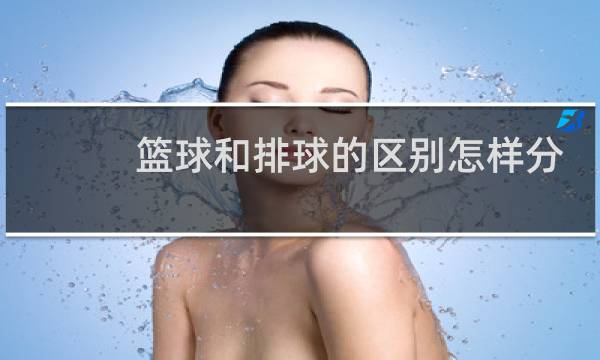篮球和排球的区别怎样分