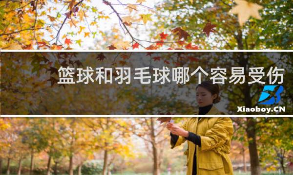 篮球和羽毛球哪个容易受伤