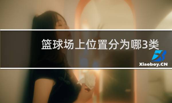 篮球场上位置分为哪3类