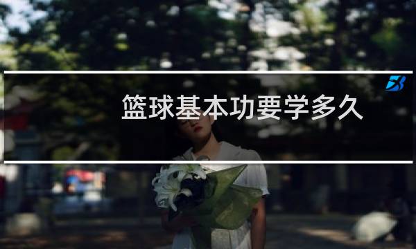 篮球基本功要学多久
