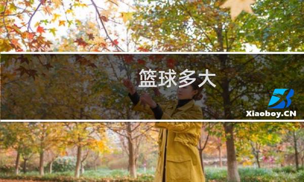 篮球多大