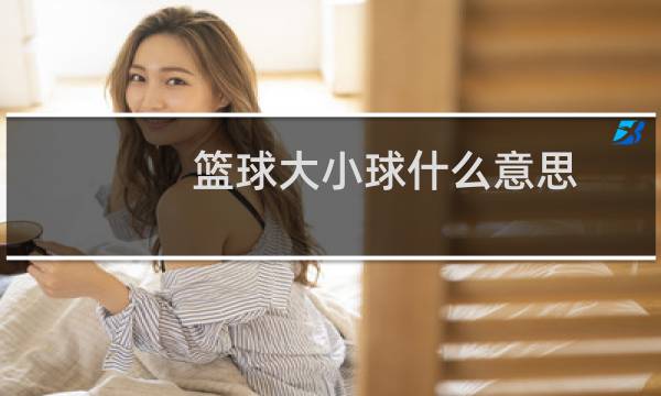 篮球大小球什么意思