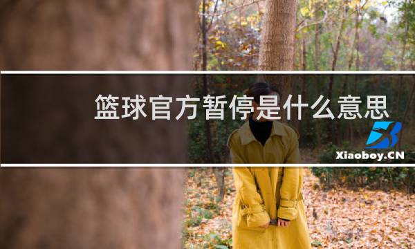 篮球官方暂停是什么意思