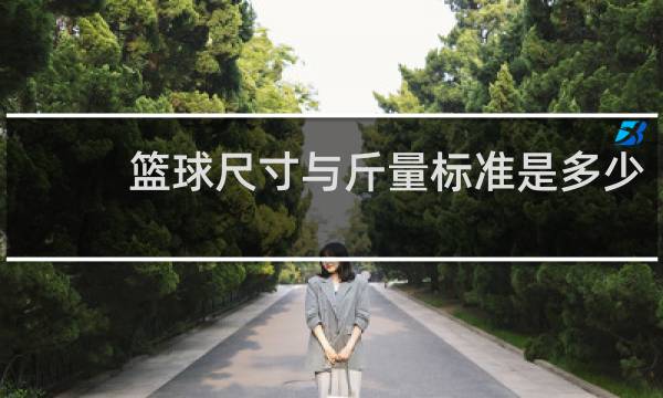 篮球尺寸与斤量标准是多少