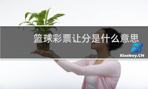 篮球彩票让分是什么意思