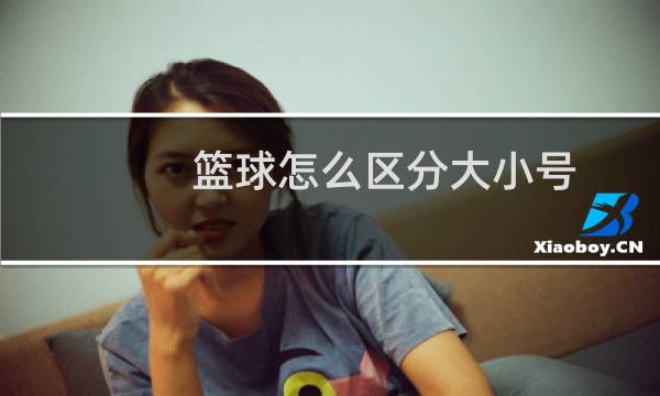 篮球怎么区分大小号