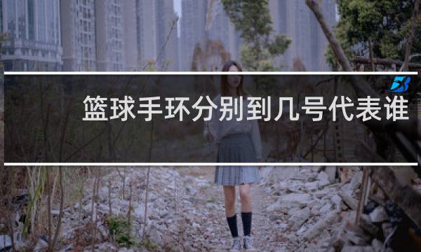 篮球手环分别到几号代表谁