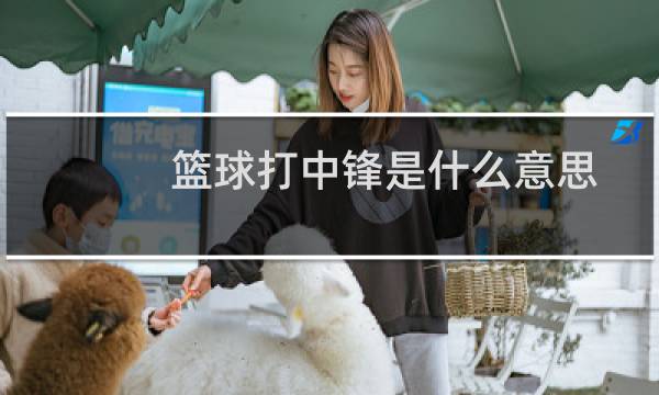 篮球打中锋是什么意思