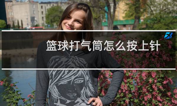 篮球打气筒怎么按上针