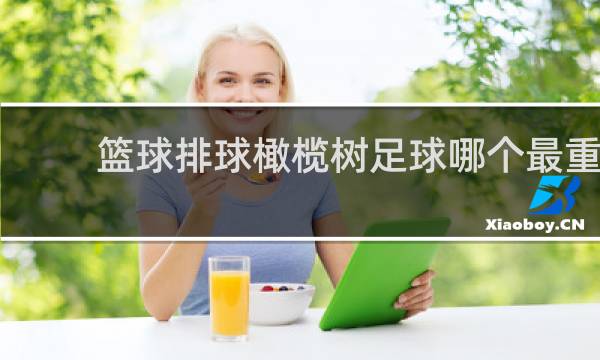 篮球排球橄榄树足球哪个最重