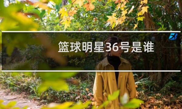 篮球明星36号是谁