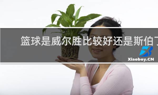 篮球是威尔胜比较好还是斯伯丁