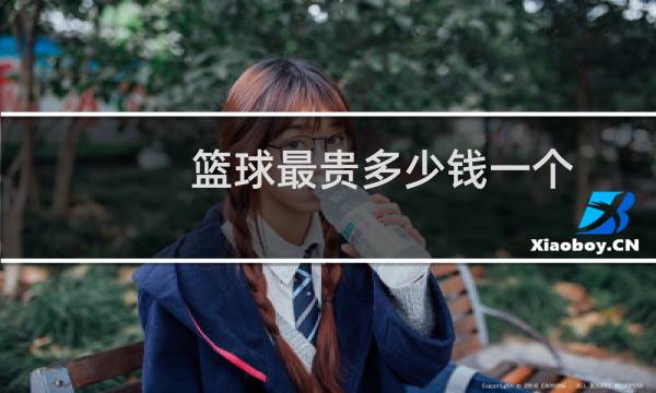 篮球最贵多少钱一个