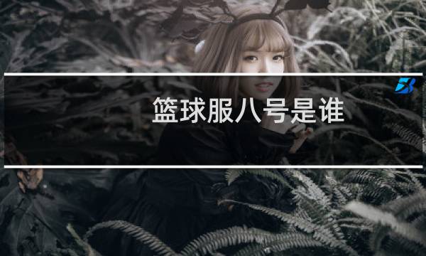 篮球服八号是谁