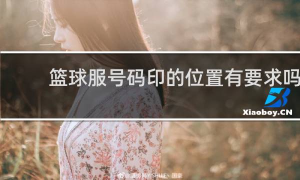 篮球服号码印的位置有要求吗
