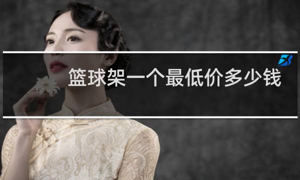 篮球架一个最低价多少钱