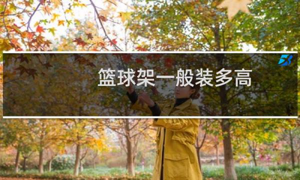 篮球架一般装多高