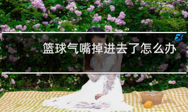 篮球气嘴掉进去了怎么办
