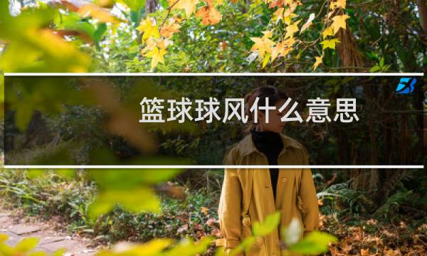 篮球球风什么意思