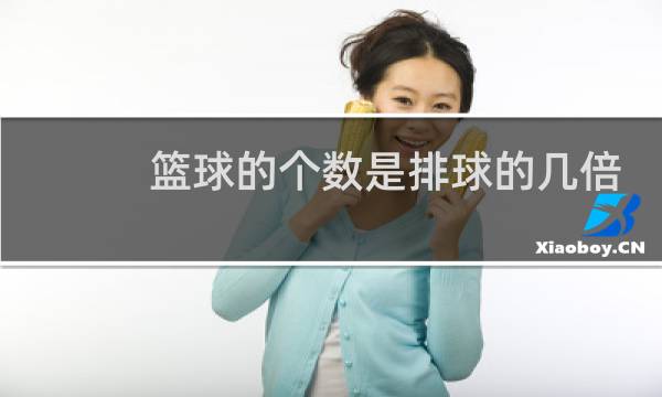 篮球的个数是排球的几倍