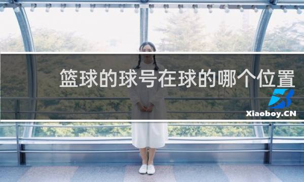 篮球的球号在球的哪个位置