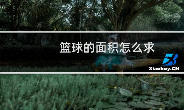篮球的面积怎么求