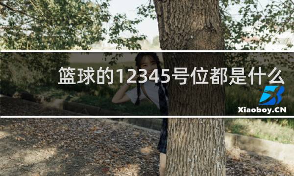 篮球的12345号位都是什么
