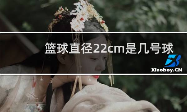 篮球直径22cm是几号球