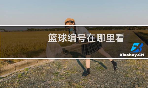 篮球编号在哪里看