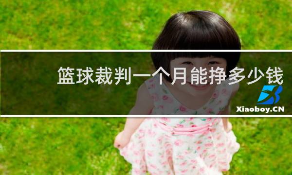 篮球裁判一个月能挣多少钱