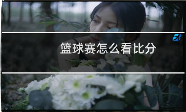 篮球赛怎么看比分
