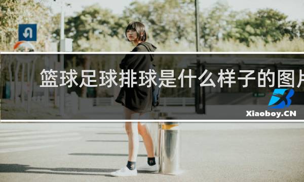 篮球足球排球是什么样子的图片
