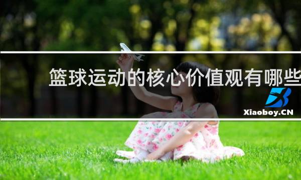 篮球运动的核心价值观有哪些