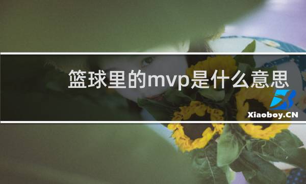 篮球里的mvp是什么意思