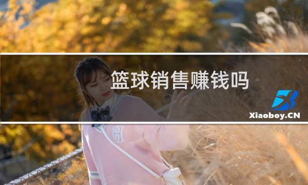 篮球销售赚钱吗