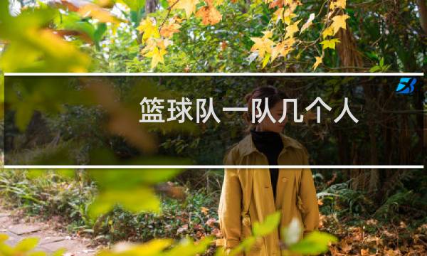 篮球队一队几个人