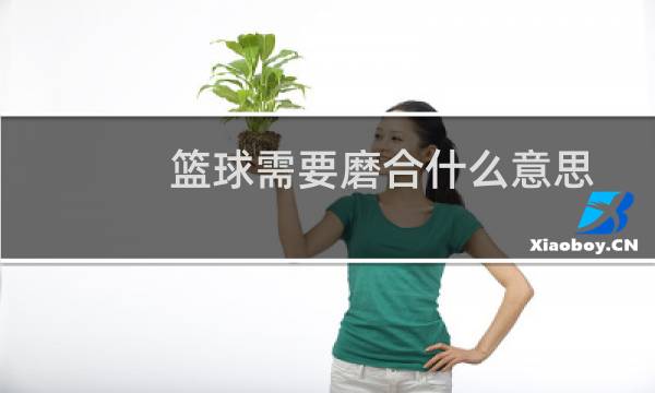 篮球需要磨合什么意思