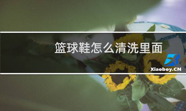 篮球鞋怎么清洗里面
