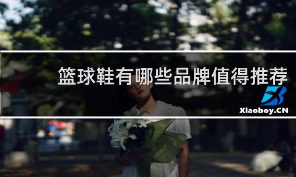 篮球鞋有哪些品牌值得推荐