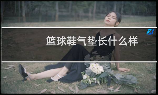 篮球鞋气垫长什么样