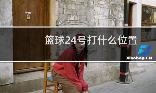 篮球24号打什么位置