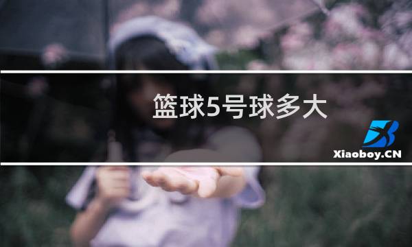 篮球5号球多大