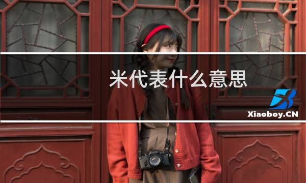 米代表什么意思